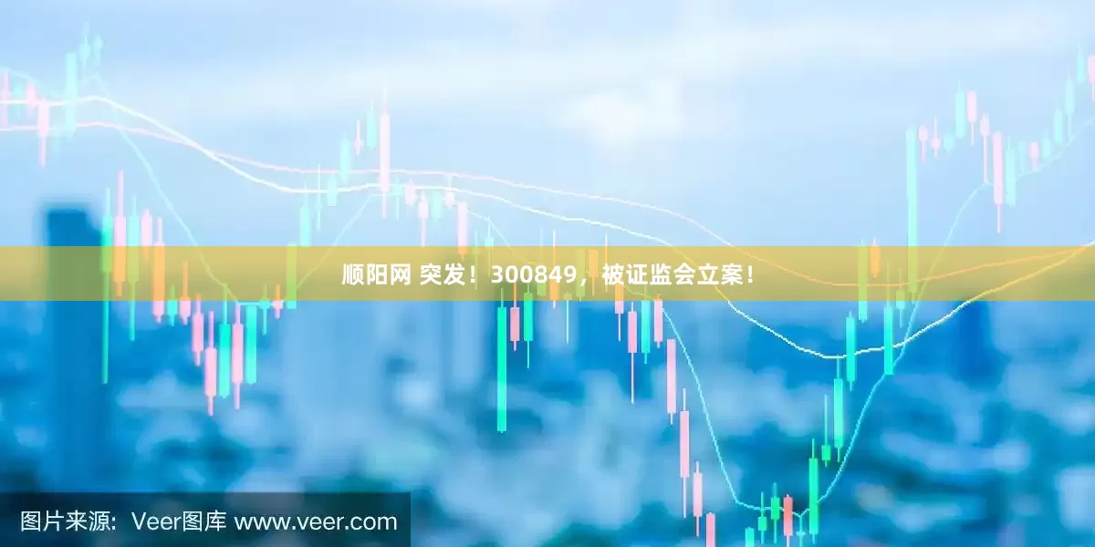 顺阳网 突发！300849，被证监会立案！