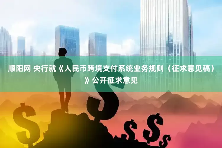 顺阳网 央行就《人民币跨境支付系统业务规则（征求意见稿）》公开征求意见