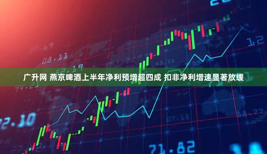 广升网 燕京啤酒上半年净利预增超四成 扣非净利增速显著放缓