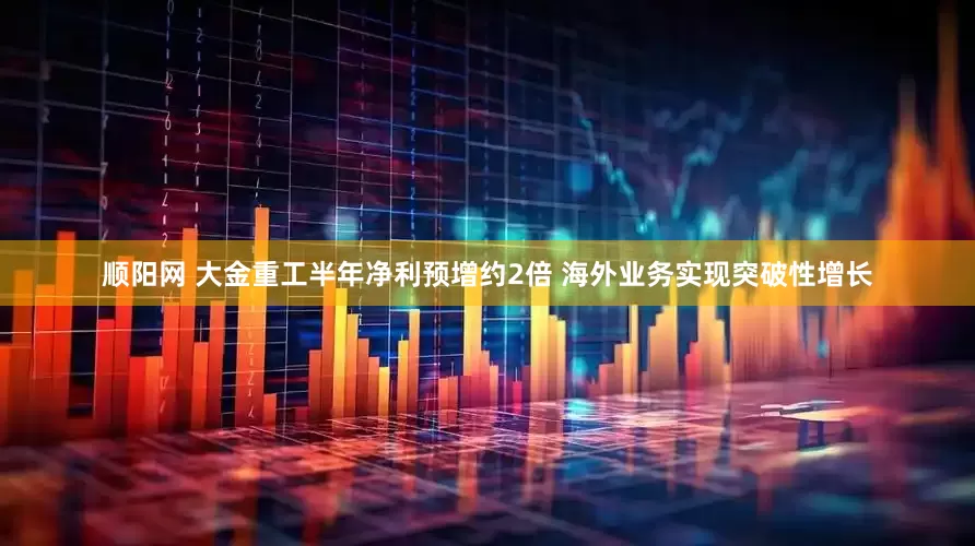 顺阳网 大金重工半年净利预增约2倍 海外业务实现突破性增长