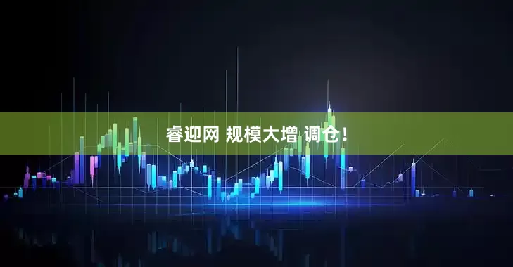睿迎网 规模大增 调仓！